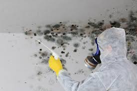 Best Mold Remediation for Healthcare Facilities in Lincoln University, PA